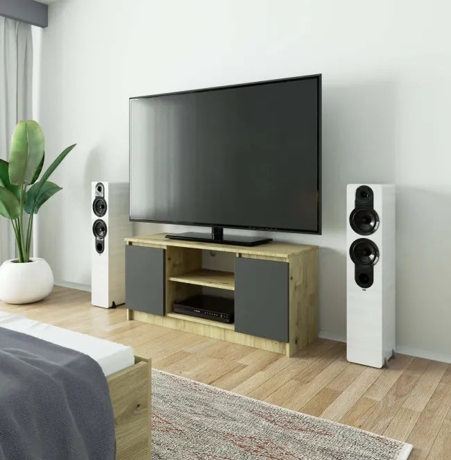 Stolík pod TV RTV 120 2D 1P dub artisan / sivý