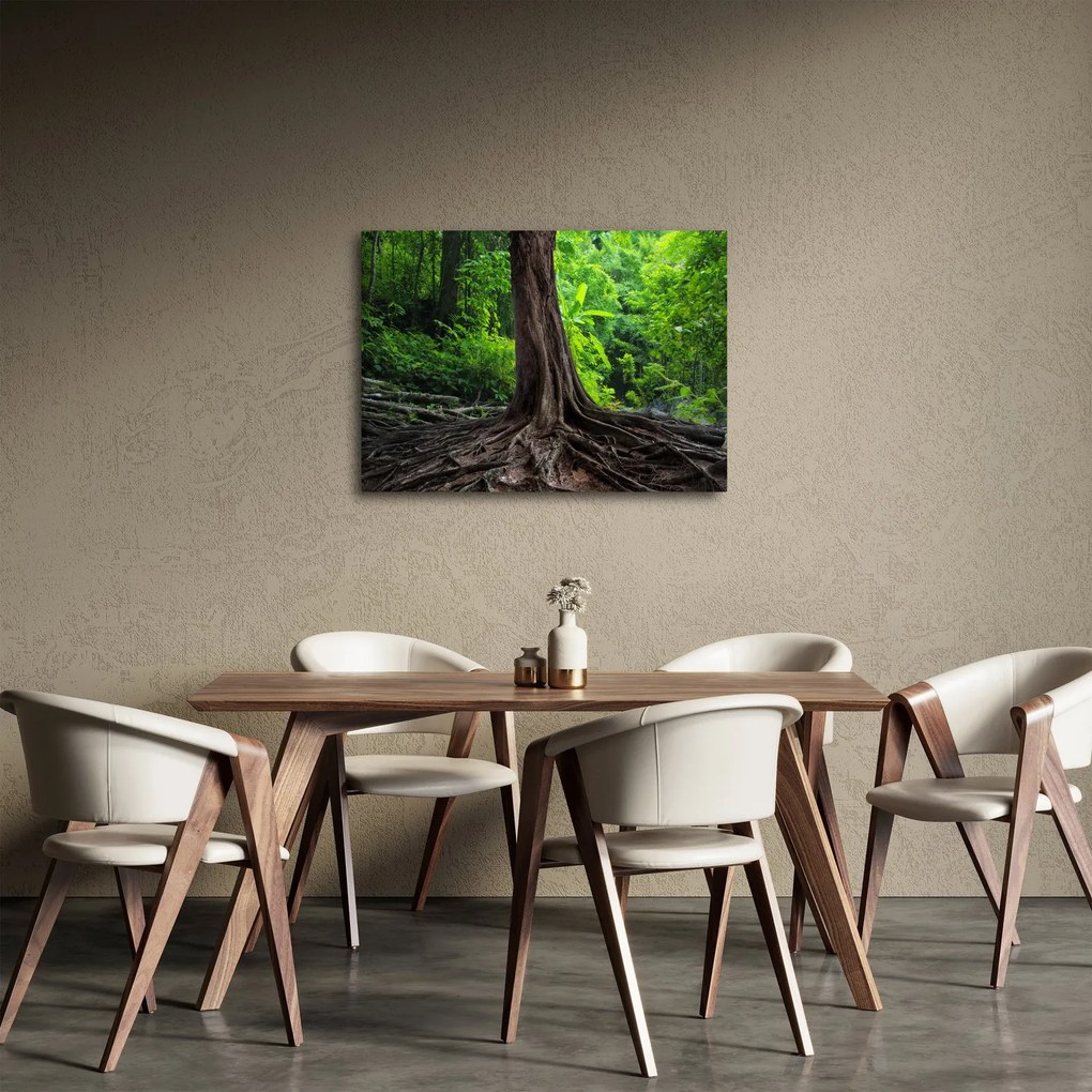 Obraz - Starý strom s koreňmi (70x50 cm)