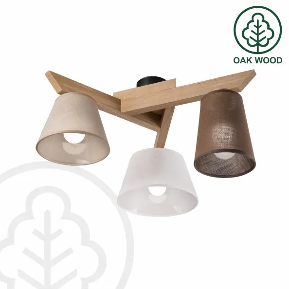 Brilagi - LED  Prisadený luster ANTHONY 3xE14/40W/230V dub