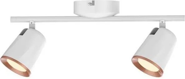 Rabalux 5046 - LED Bodové svietidlo SOLANGE 2xLED/6W/230V