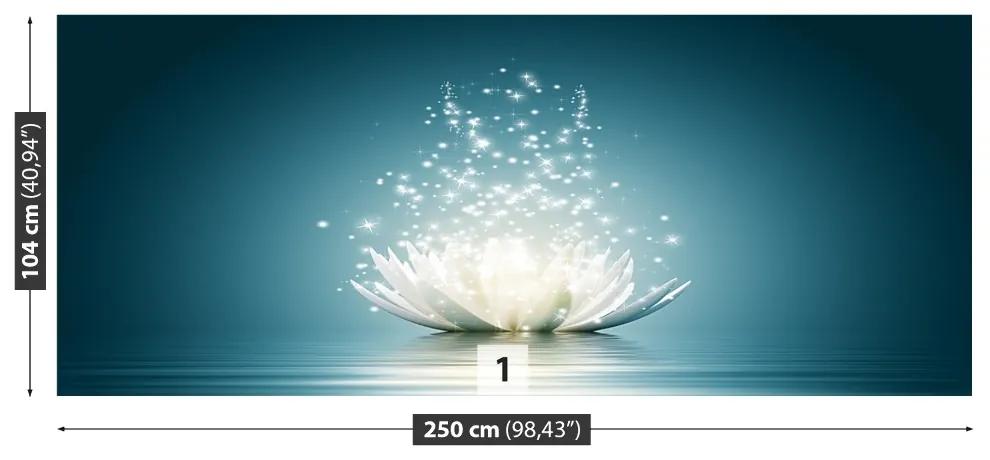 Fototapeta Vliesová Lotosový kvet 152x104 cm