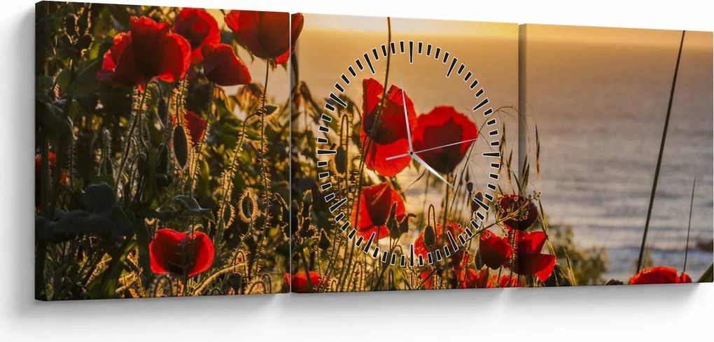 Obraz západu slnka s vlčími makmi (s hodinami) (90x30 cm)