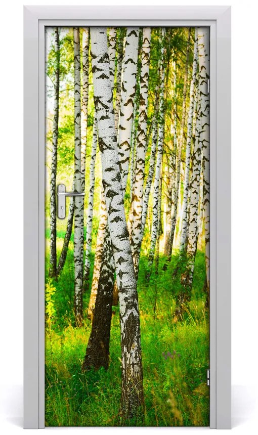 Fototapeta na dvere samolepiace Břízová les 75x205 cm