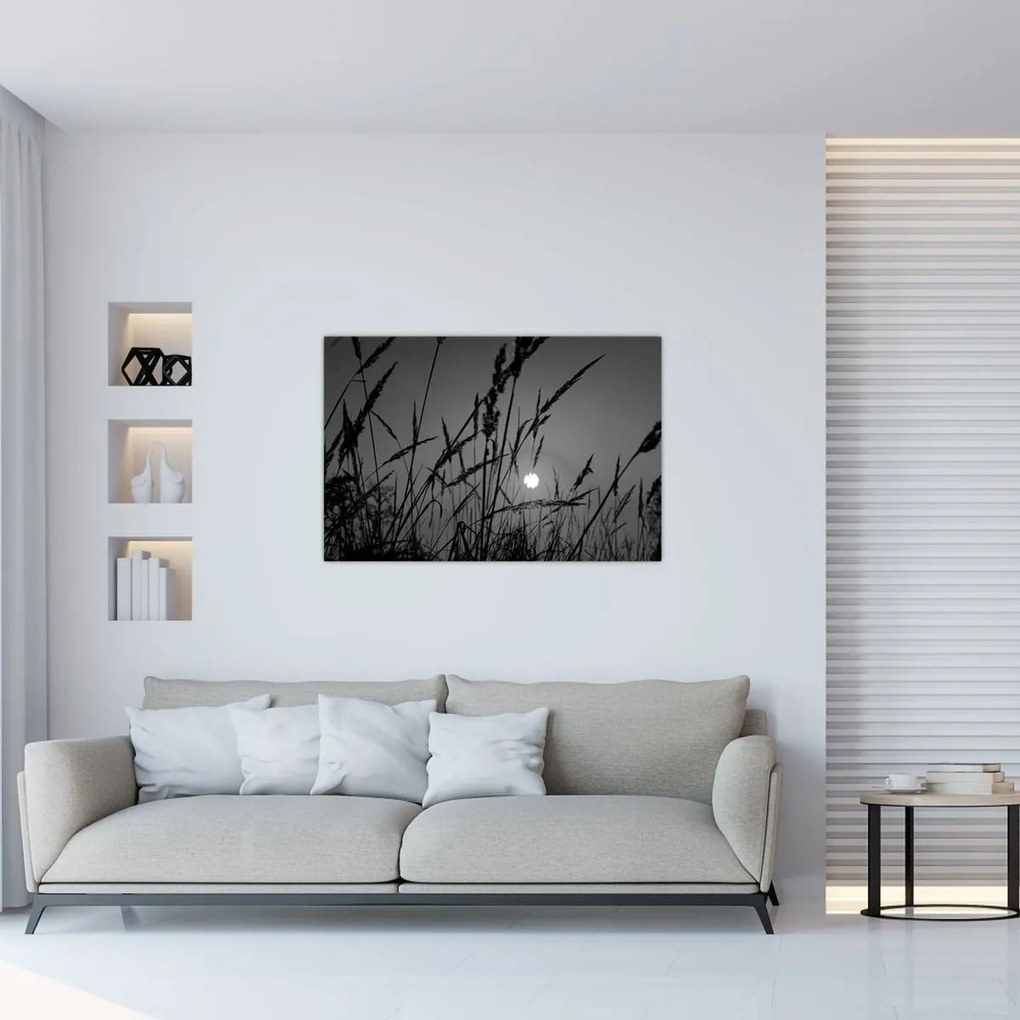 Obraz - Lúka so západom slnka (90x60 cm)