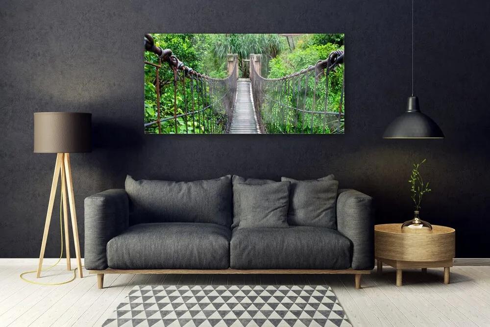 Obraz plexi Most stromy architektúra 120x60 cm