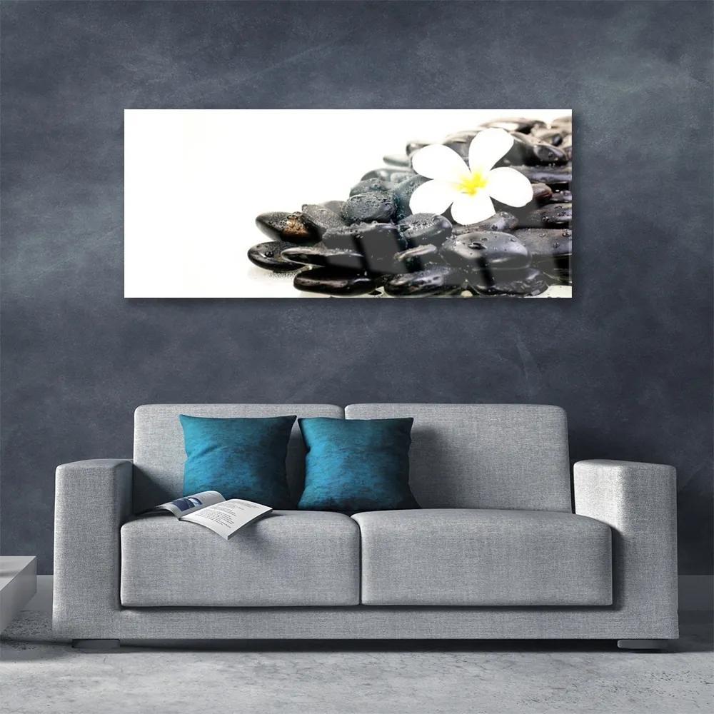 Obraz plexi Kvety kamene umenie 125x50 cm
