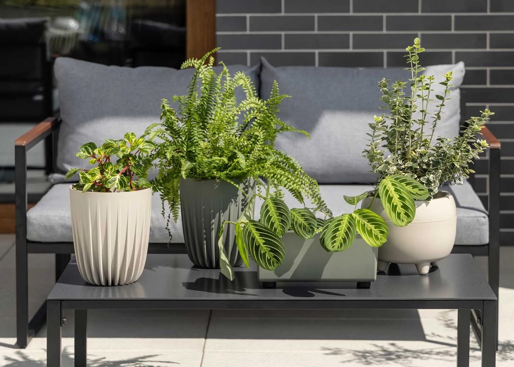 PLASTOVÝ KVETINÁČ BOTANICA SADA 2KS 30X24 CM+23X18,5 CM KRÉMOVÁ