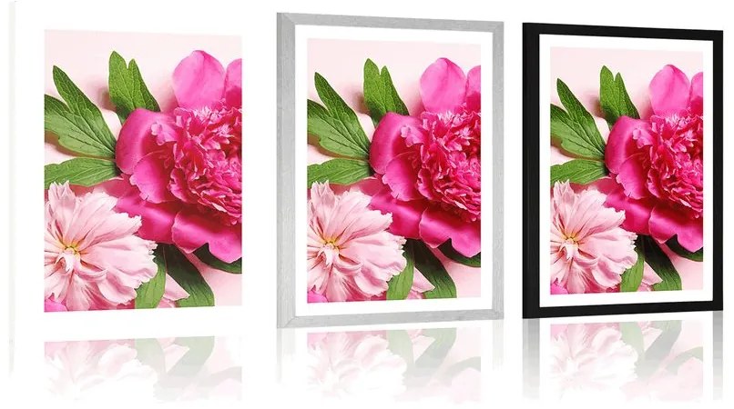 Plagát s paspartou pivonky v ružovej farbe - 40x60 silver
