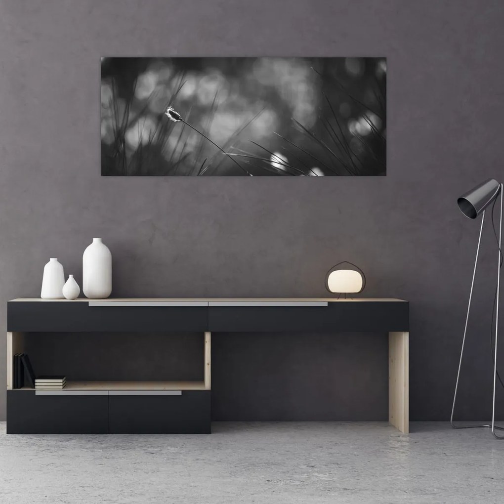 Obraz - Lúčna tráva (120x50 cm)