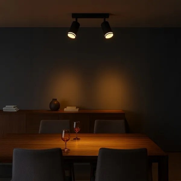 Bodové svietidlo PIPE 2xGU10/10W/230V čierne