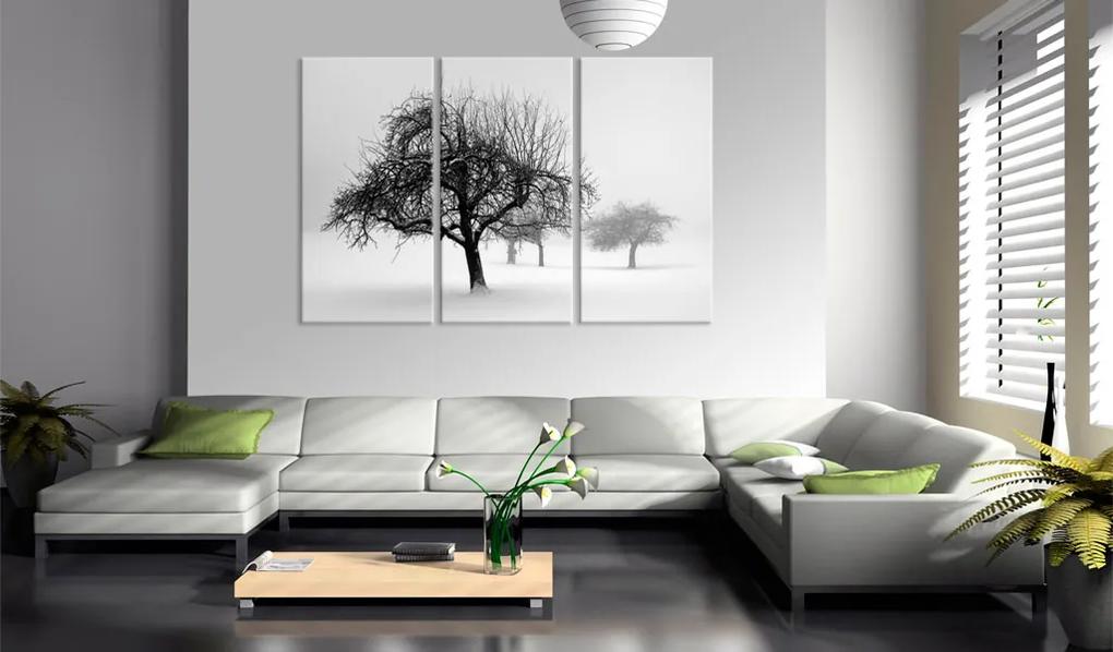 Artgeist Obraz - Trees submerged in white Veľkosť: 120x80, Verzia: Na talianskom plátne