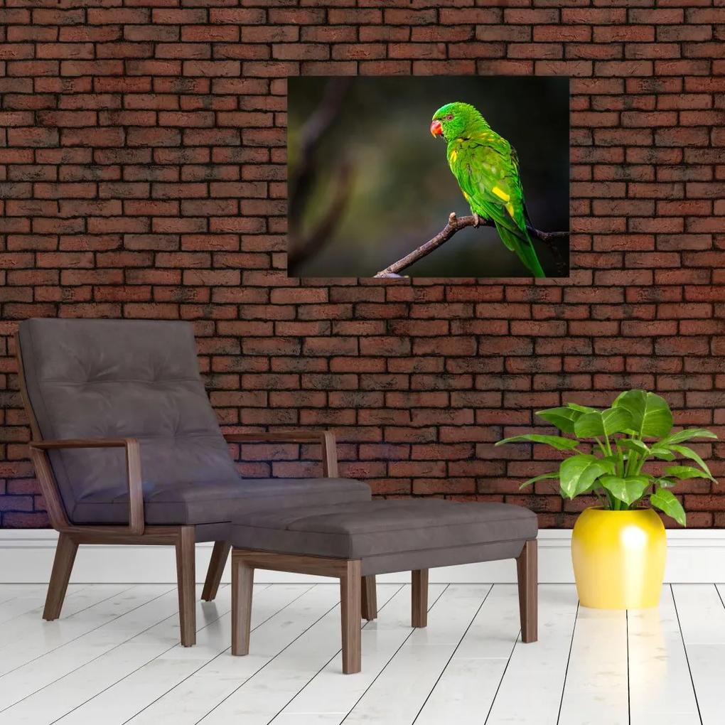 Sklenený obraz papagája na vetve (70x50 cm)