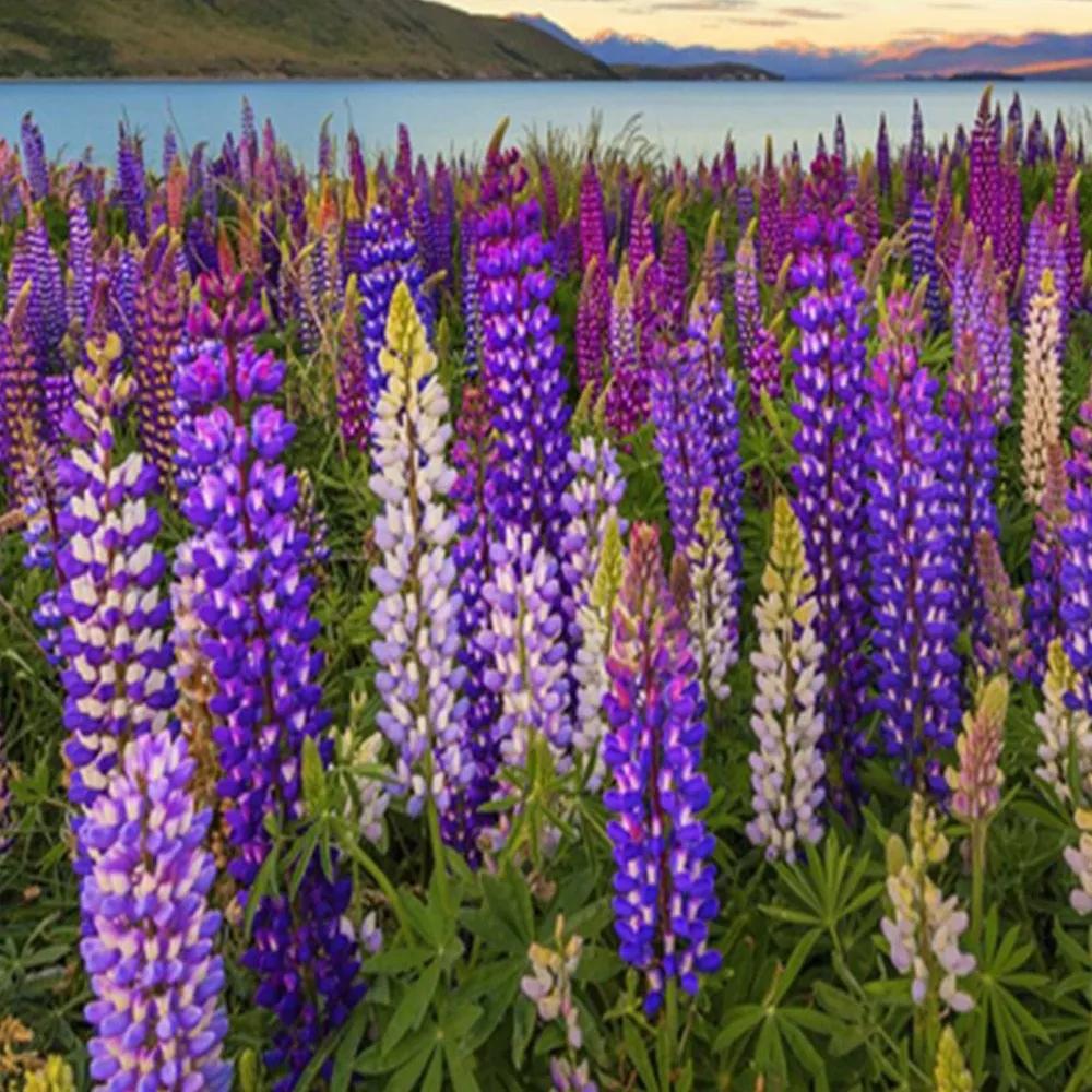 Ozdobný paraván Levandulové jezero Květiny - 180x170 cm, päťdielny, obojstranný paraván 360°
