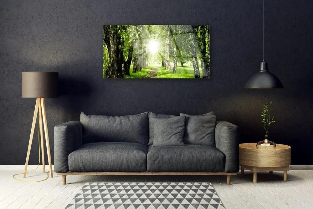 Skleneny obraz Les slnko chodník príroda 120x60 cm