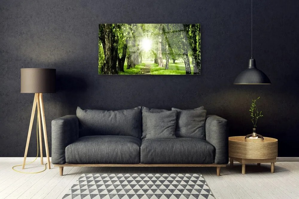 Skleneny obraz Les slnko chodník príroda 140x70 cm