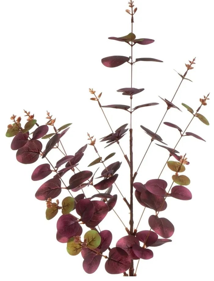 Umelý eukalyptus 4 ks (výška 85 cm) – Casa Selección