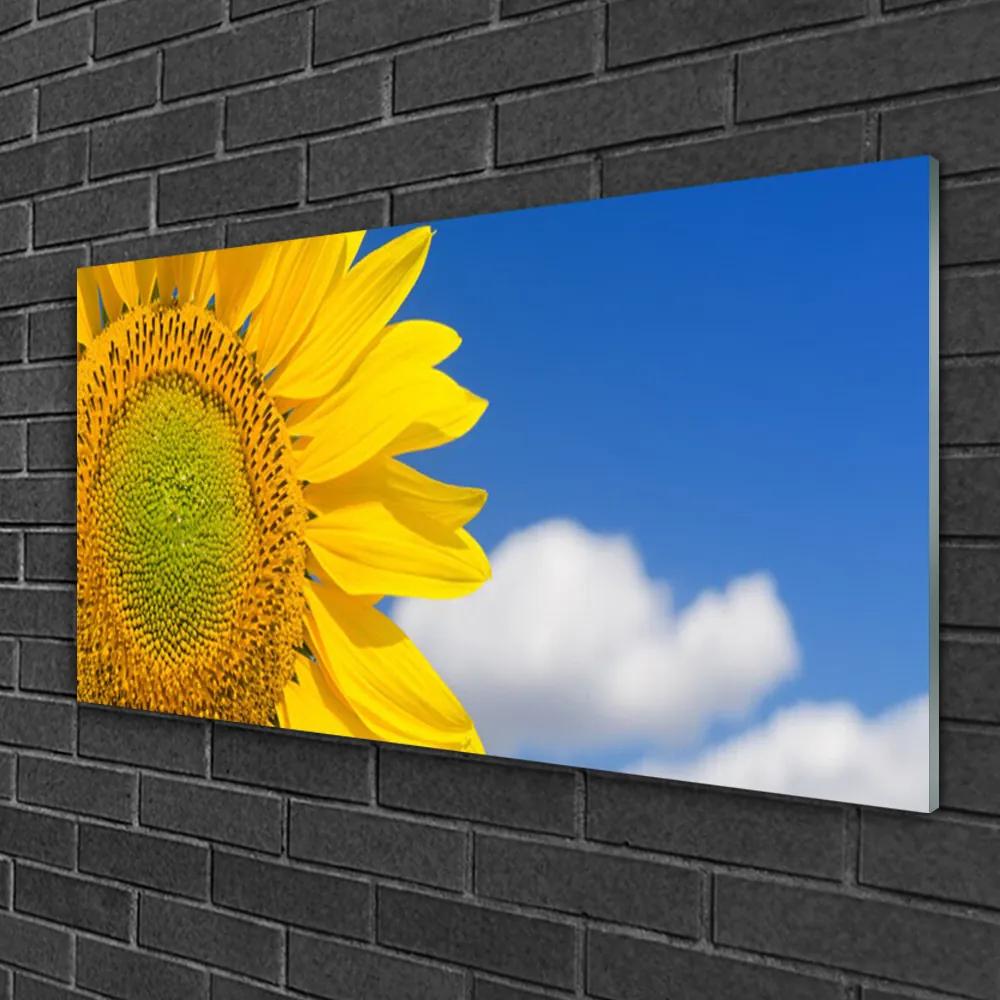 Obraz na skle Slnečnica mraky 100x50 cm