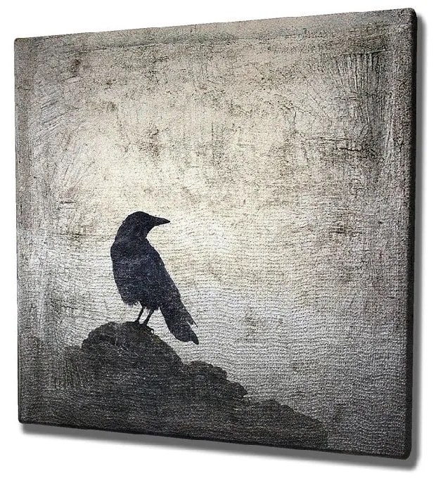 Nástenný obraz na plátne Black Bird, 45 × 45 cm