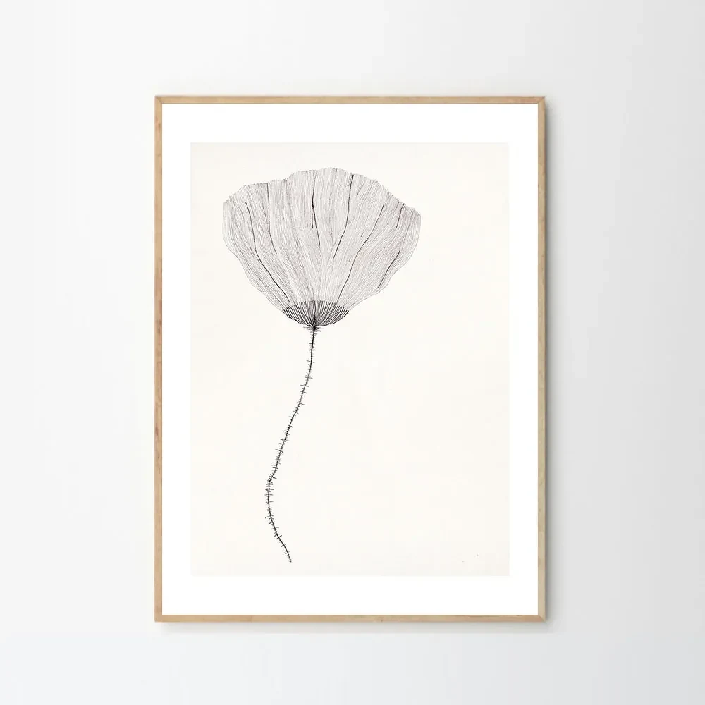 The Poster Club Plagát Poppy by Ana Frois 40x50 cm