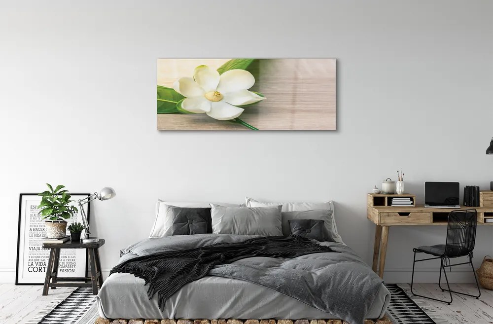 Obraz plexi Biela magnólia 120x60 cm