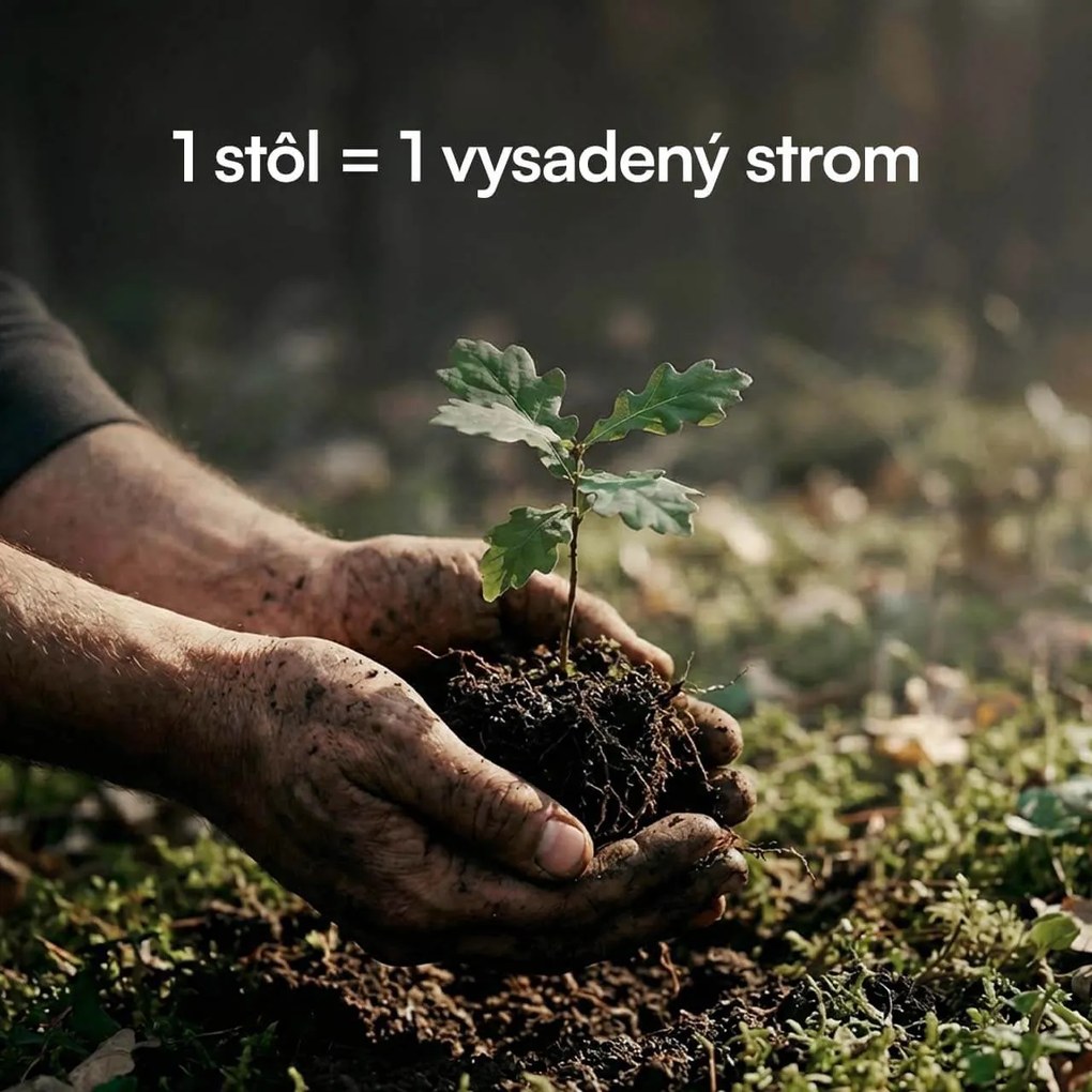 Liftor Entry výškovo nastaviteľný polohovateľný stôl