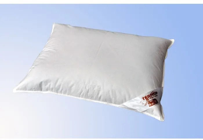 Termop vankúš Premium 70x90 cm perie/páper