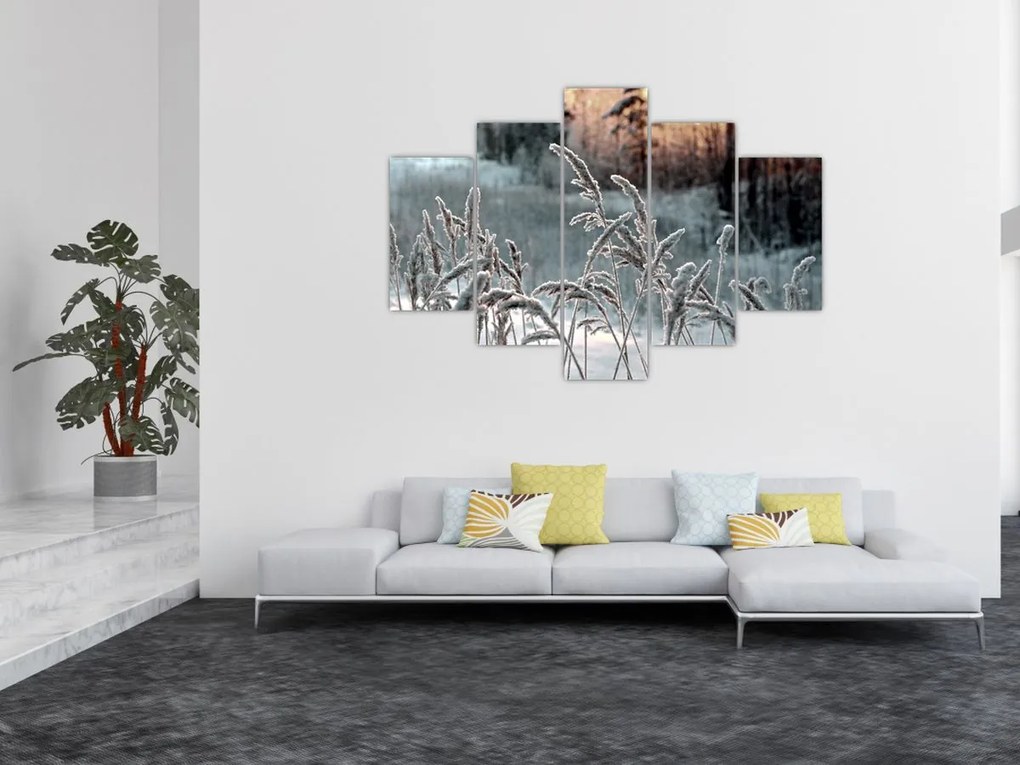 Obraz - Zamrznutá lúka (150x105 cm)
