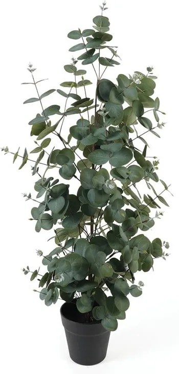 Umelý eukalyptus – PT LIVING