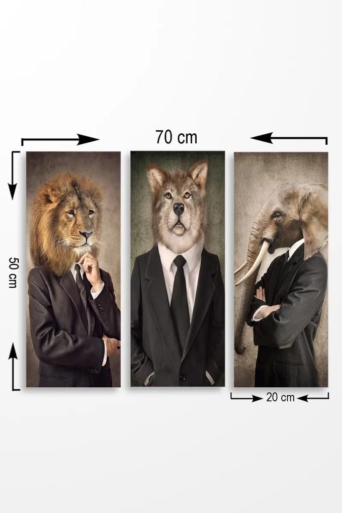 Súprava obrazov HUMAN ANIMALS 70 x 50 cm 3 kusy