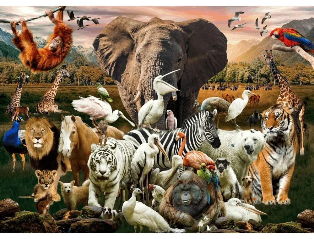Brain Tree Puzzle Zvieratá 500 dielikov