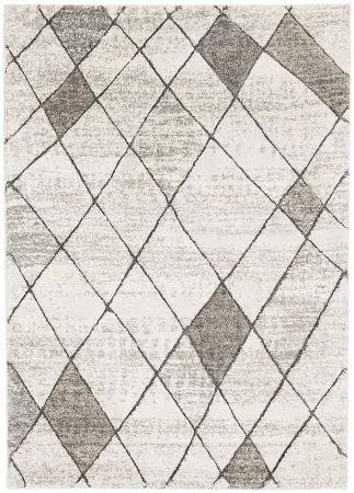 Koberce Breno Kusový koberec CASTRO Carved 4928/NQ2A, viacfarebná,67 x 120 cm