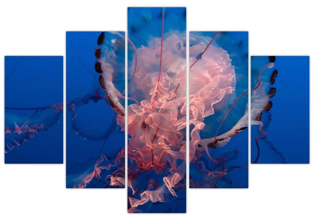 Obraz medúzy (150x105 cm)