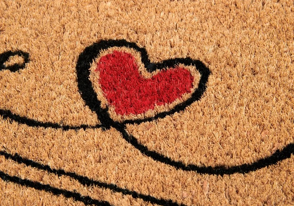 Hanse Home, Rohožka Mačka 106200 - na von aj na doma, 40x70, hnedá, chodba / predsieň