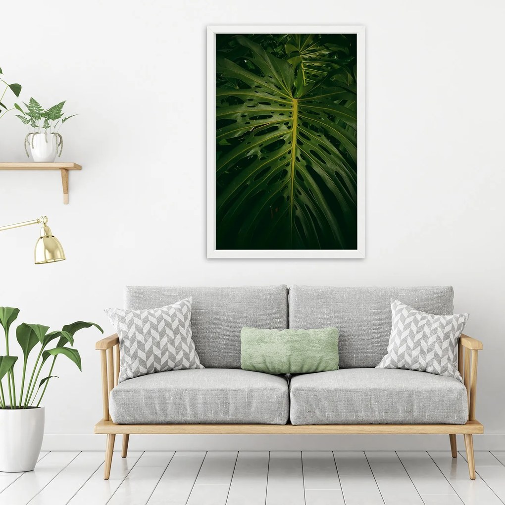 Gario Plagát Monstera - list z prírody Farba rámu: Bez rámu, Rozmery: 70 x 100 cm