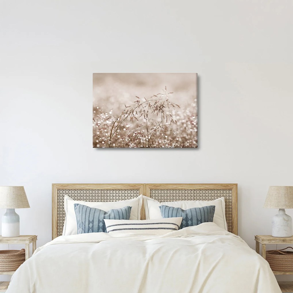 Obraz - Lúka v hnedých tónoch (70x50 cm)