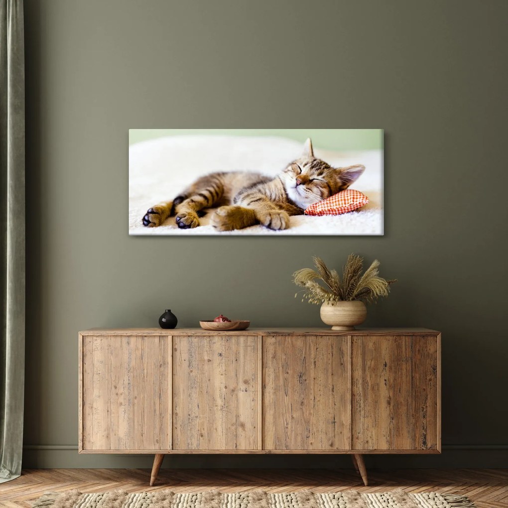 Obraz - Spiace mačiatko (120x50 cm)