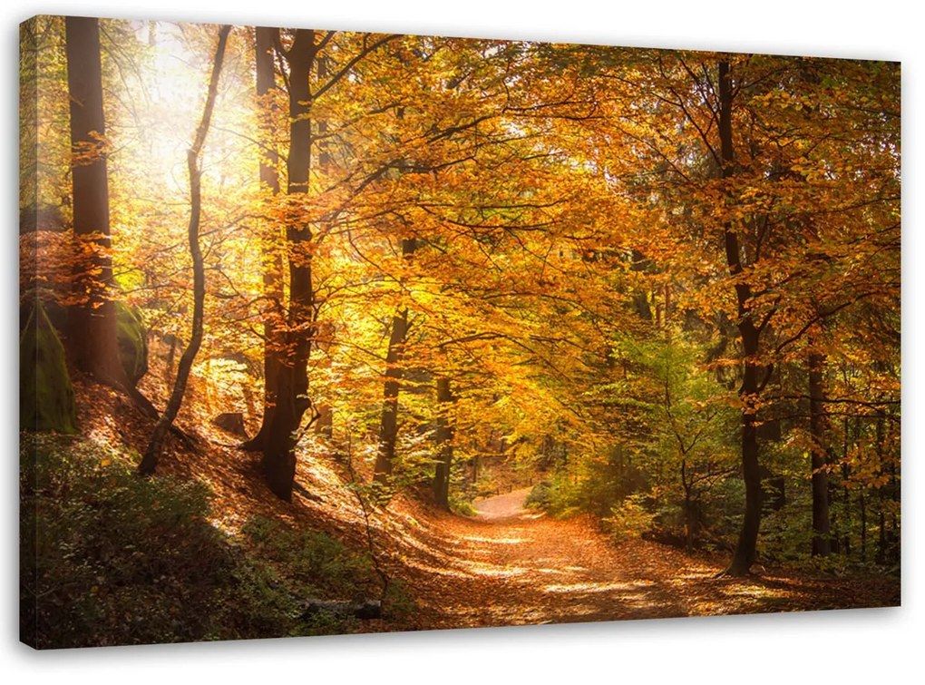 Gario Obraz na plátne Listy na lesnej ceste Rozmery: 100 x 70 cm