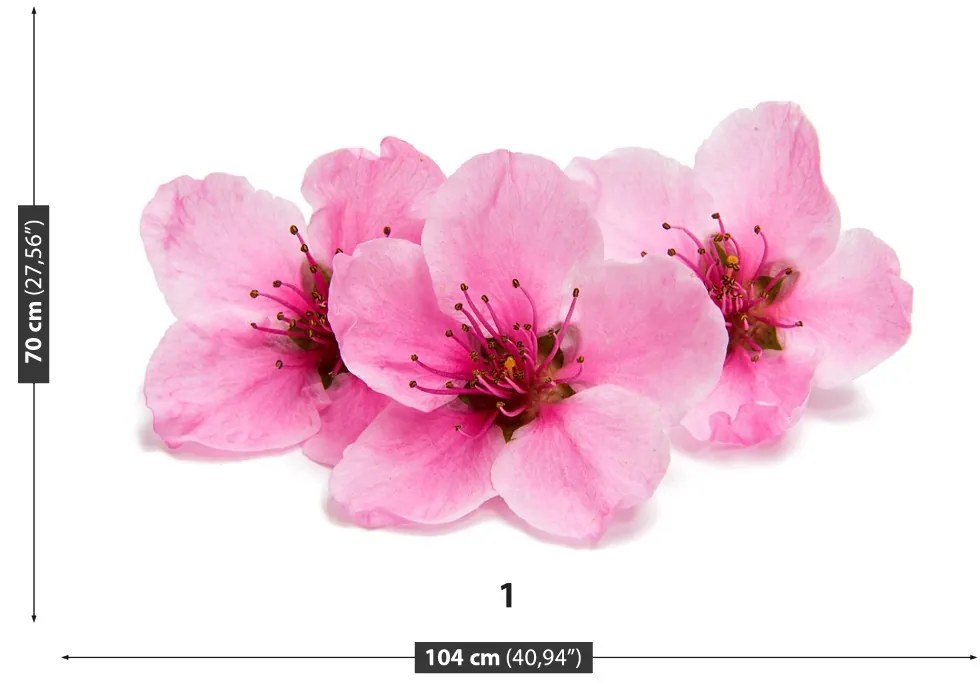 Fototapeta Vliesová Čerešňové kvety 250x104 cm