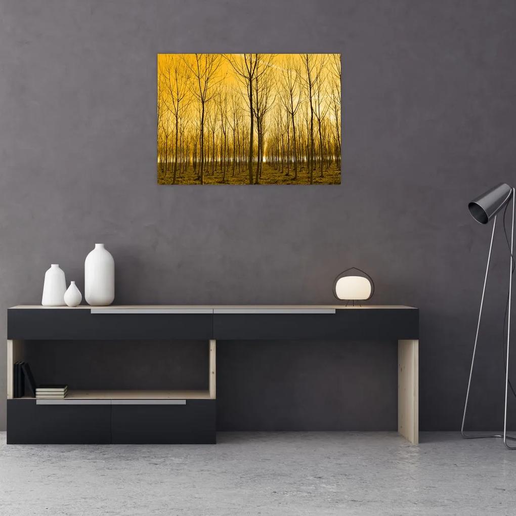 Sklenený obraz lesa pri západe slnka (70x50 cm)