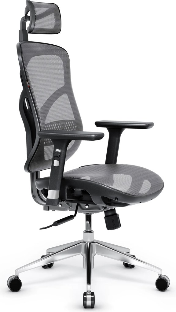 Ergonomická kancelárska stolička zo sieťoviny, čierny-sivý: Diablo V-Basic