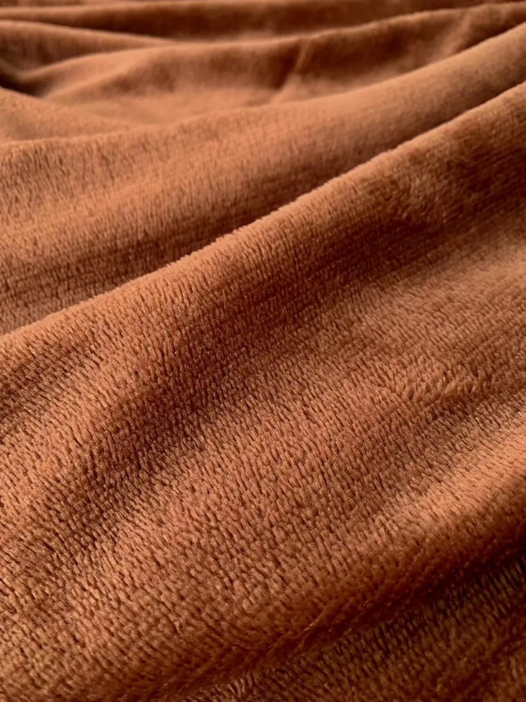 Mikroplyšová deka SOFT, hnedá Rozmer: 200 x 220 cm