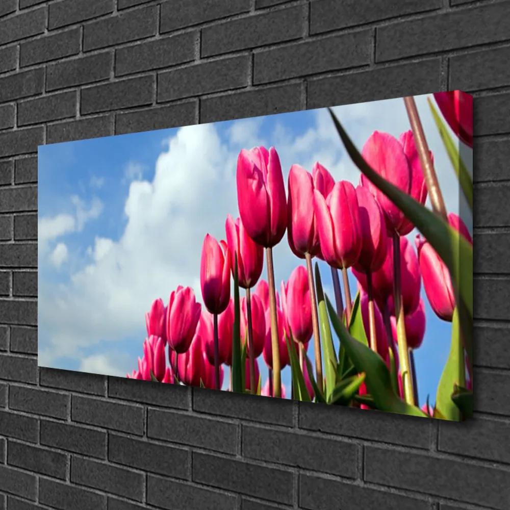 Obraz na plátne Tulipán 120x60 cm