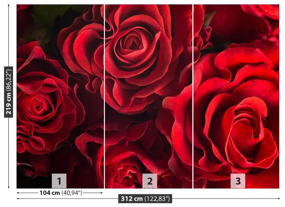 Fototapeta Vliesová Červené ruže 208x146 cm