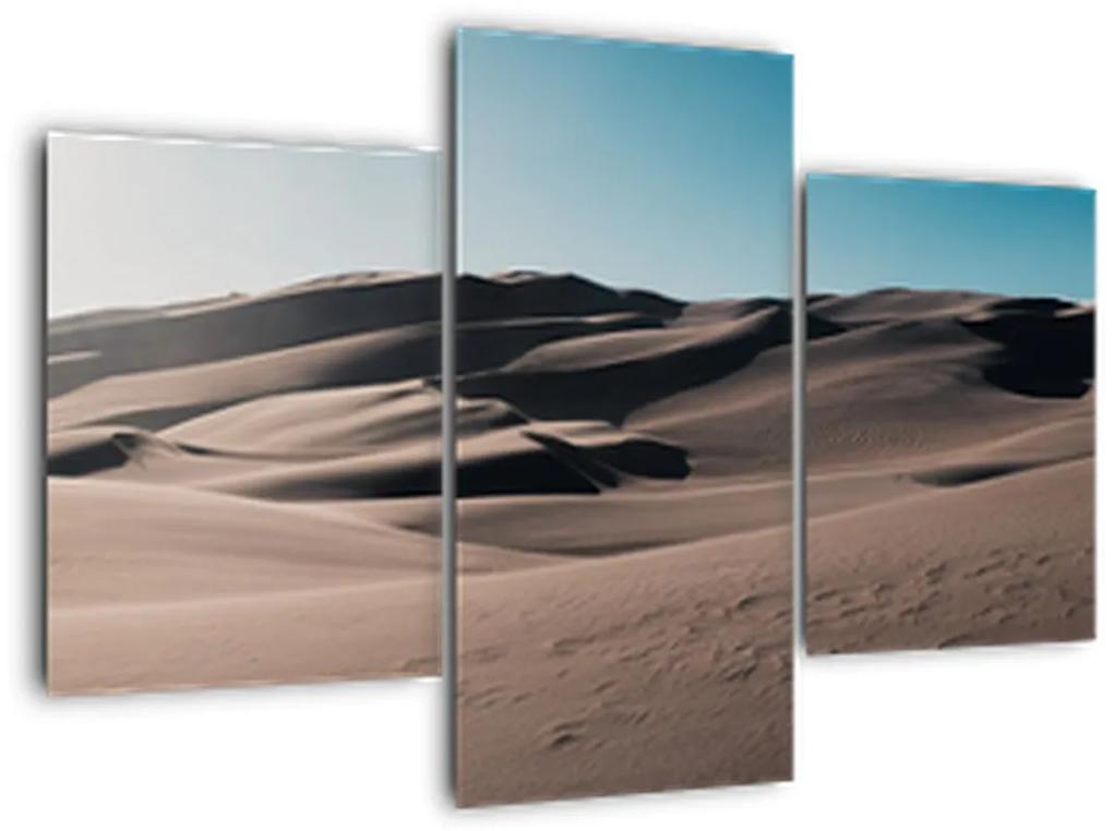 Obraz - Z púšte (90x60 cm)