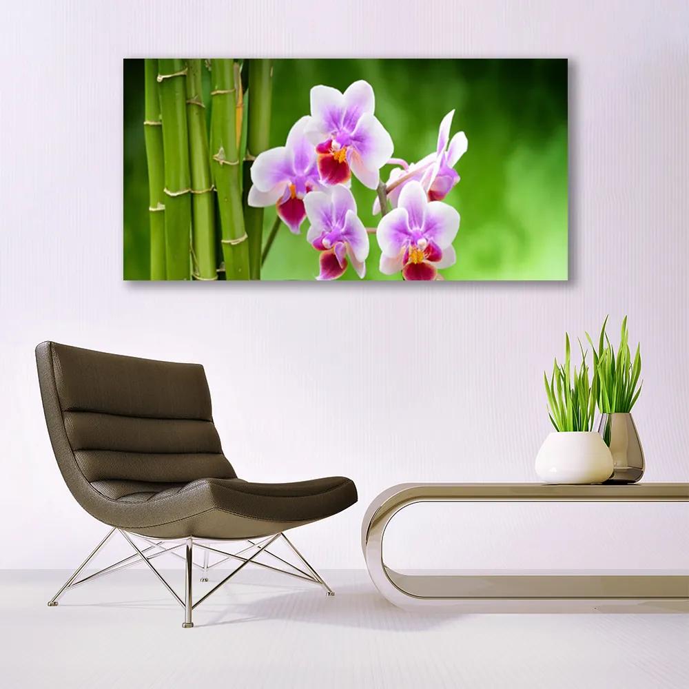 Obraz plexi Bambus orchidea kvety zen 120x60 cm