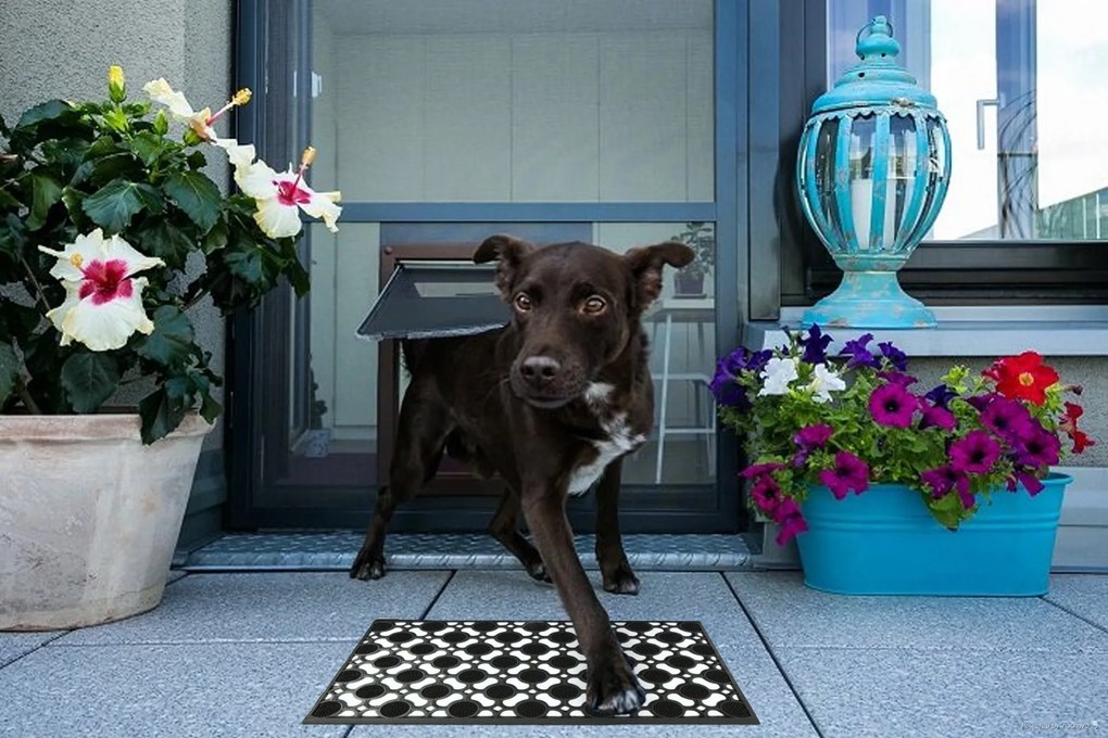 B-line, Rohožka guma 302 – na von aj na doma, 60x90, šedá