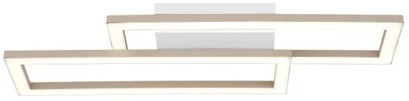 Globo 67381-16 - LED stropné svietidlo WILTON LED/16W/230V 3000/4000/6000K