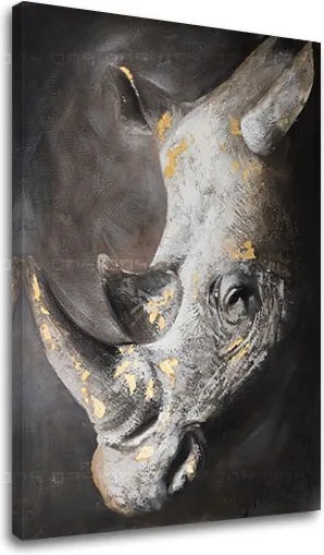 Obraz na plátne  NOSOROŽEC 1 dielny XOBCHAN082