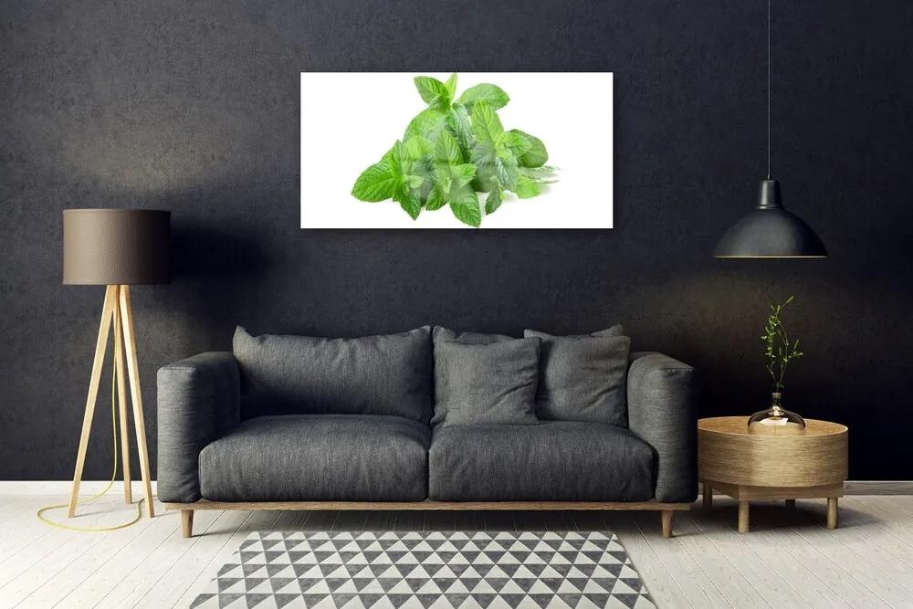 Skleneny obraz Mäta rastlina príroda 120x60 cm