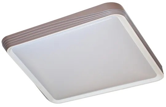 Rabalux 71166 - LED stropné svietidlo DRUZOR LED/40W/230V 3000K